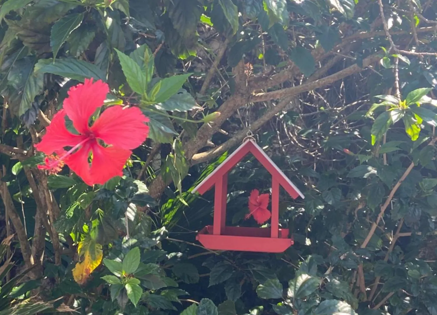 Casa Pe Na Areia, Ribeirao Da Ilha, 4Suites Qk9397 Florianopolis Villa